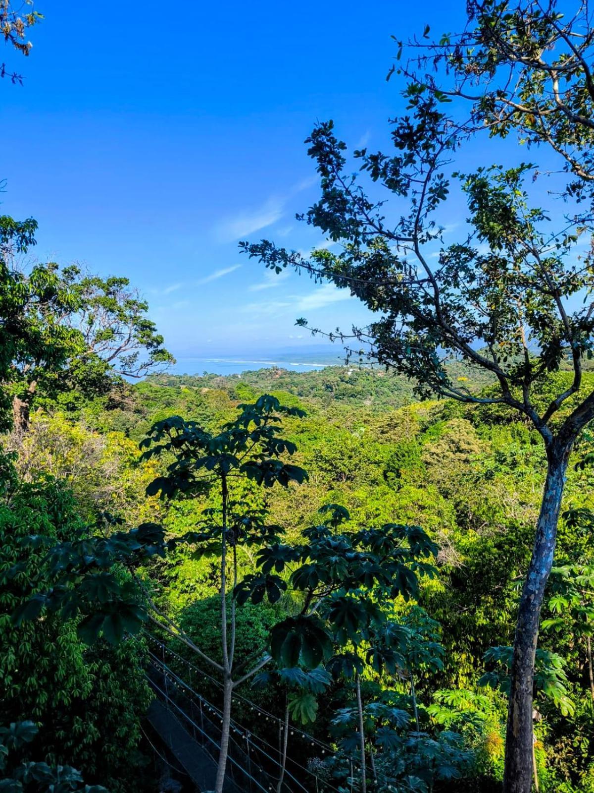 Mountain Top Park Hotel Quepos Exterior foto